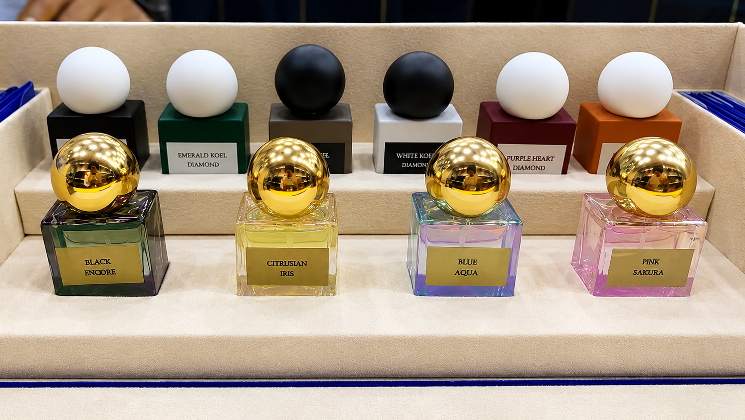 Perfume Collection - Luxury Fragrances